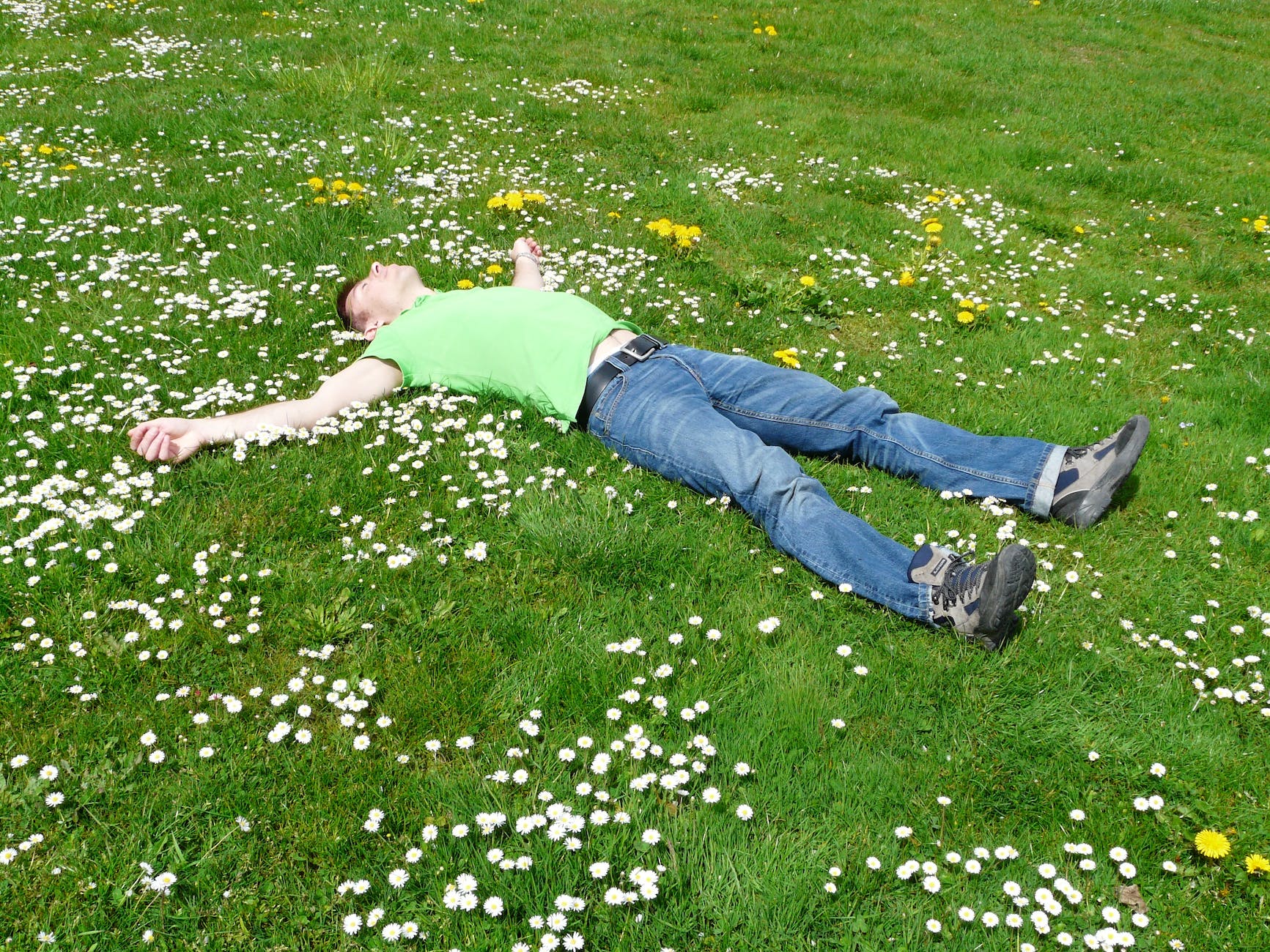 high angle view of lying down on grass